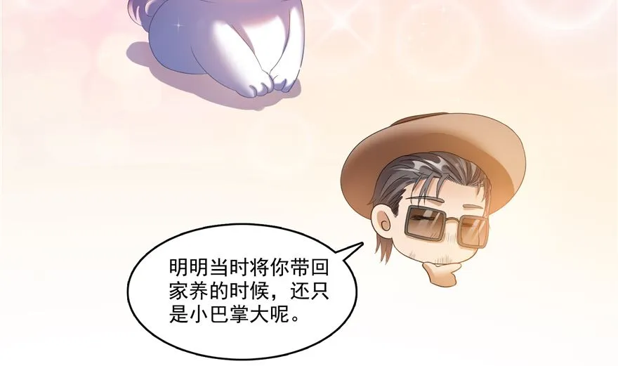 第254话 什么？该嫁人了？ 第52页