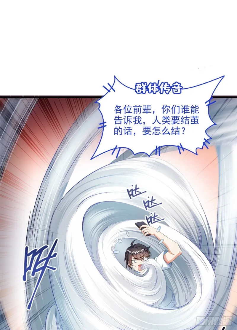 第352话 九州结茧群 第1页