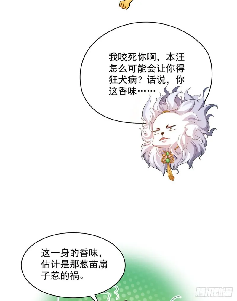 第365话 上上上上签 第3页