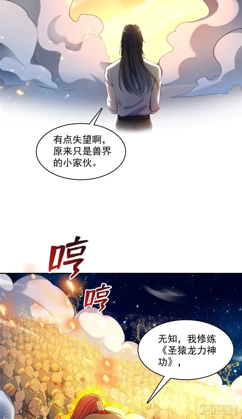 385我分给你143只圣猿影哩 第33页