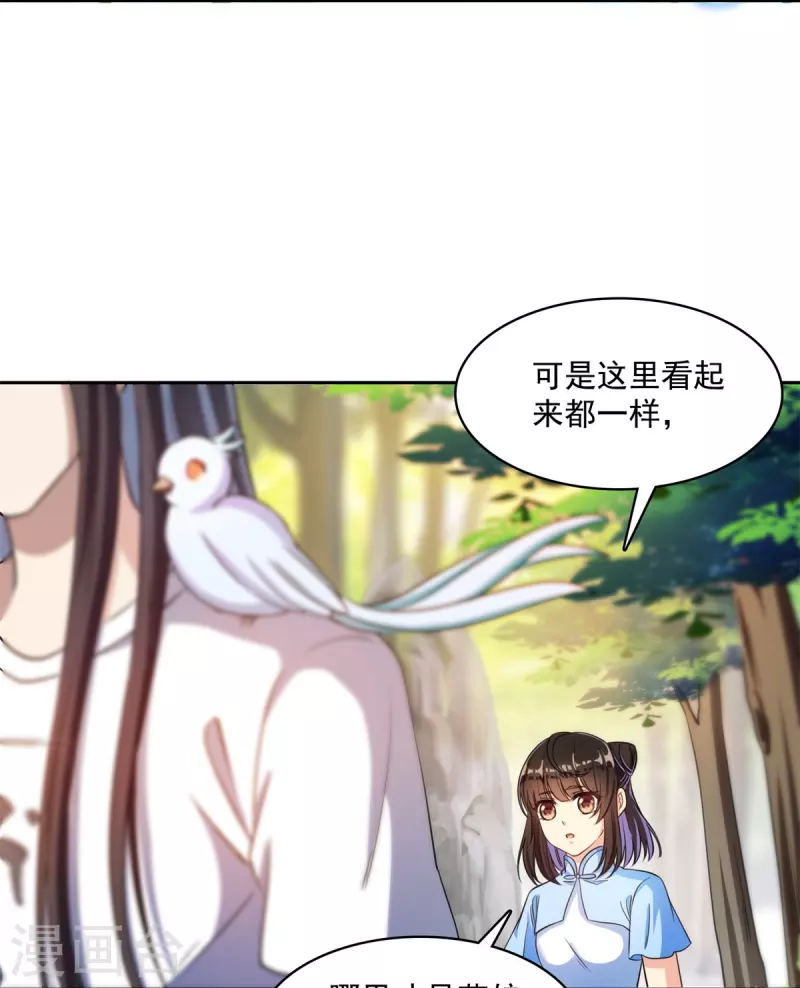 第402话 桃花，你最爱的人是不是我？ 第12页