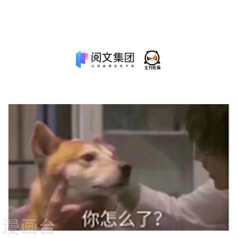 第438话 白前辈的计划B 第41页