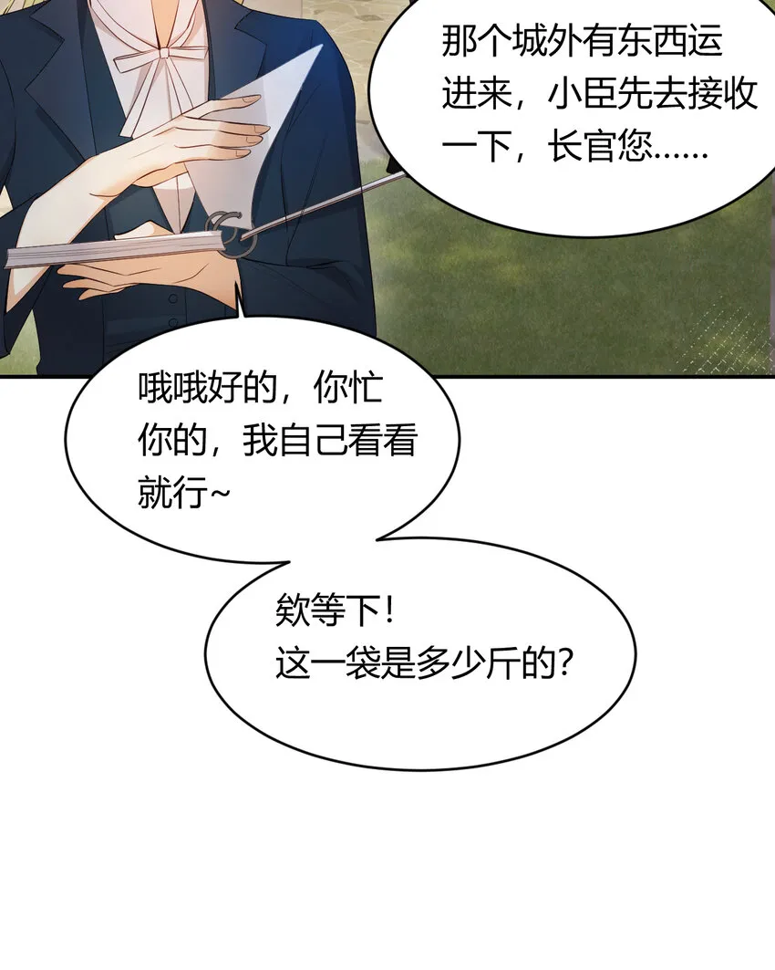 40 声东击西 第16页