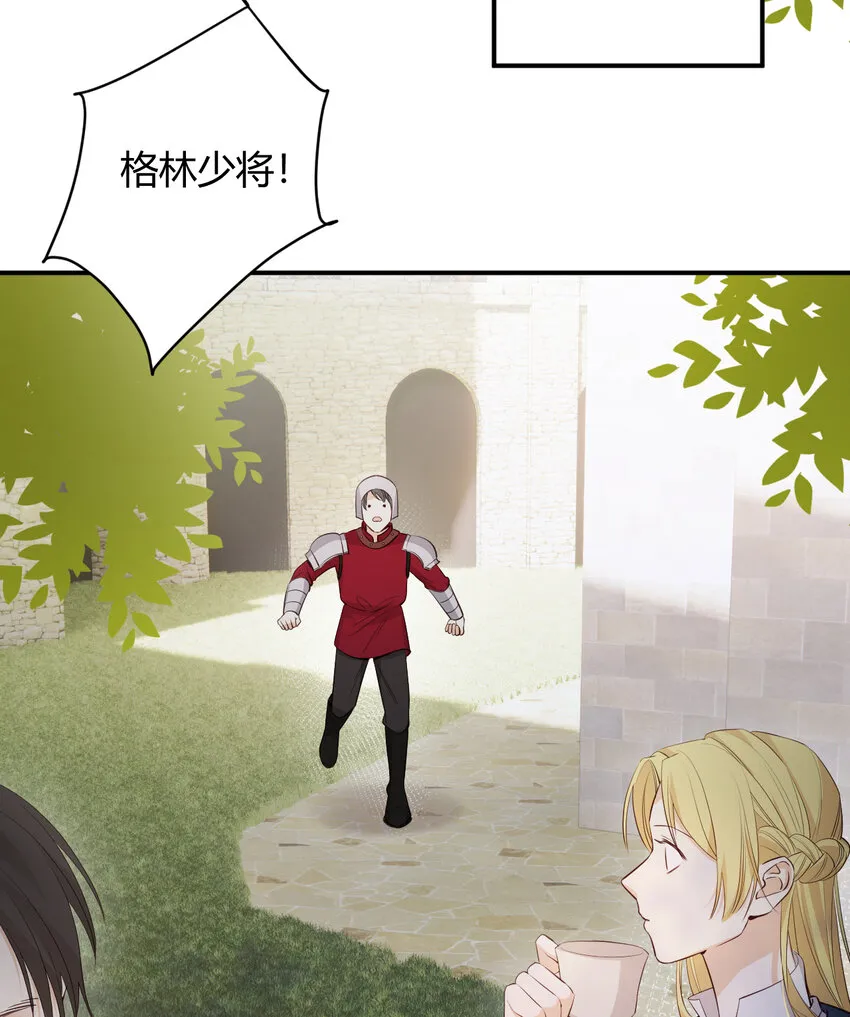 40 声东击西 第30页