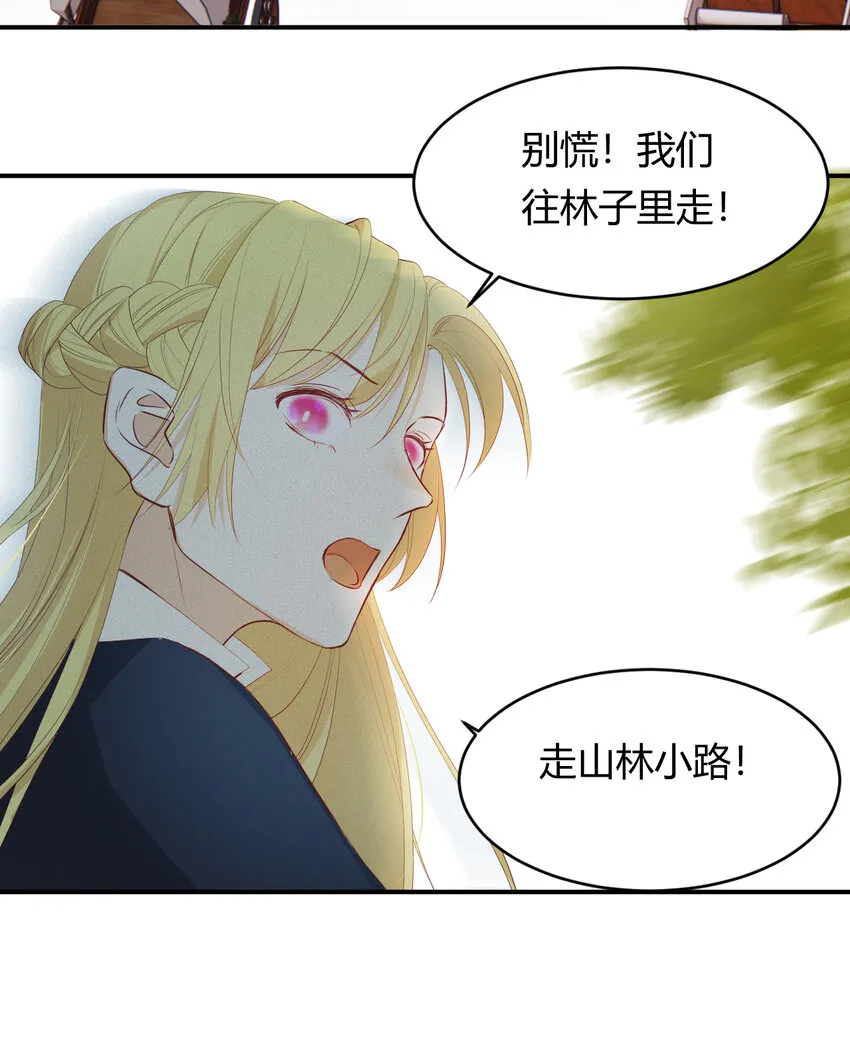 40 声东击西 第56页
