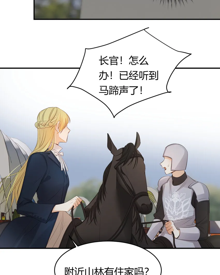 40 声东击西 第63页