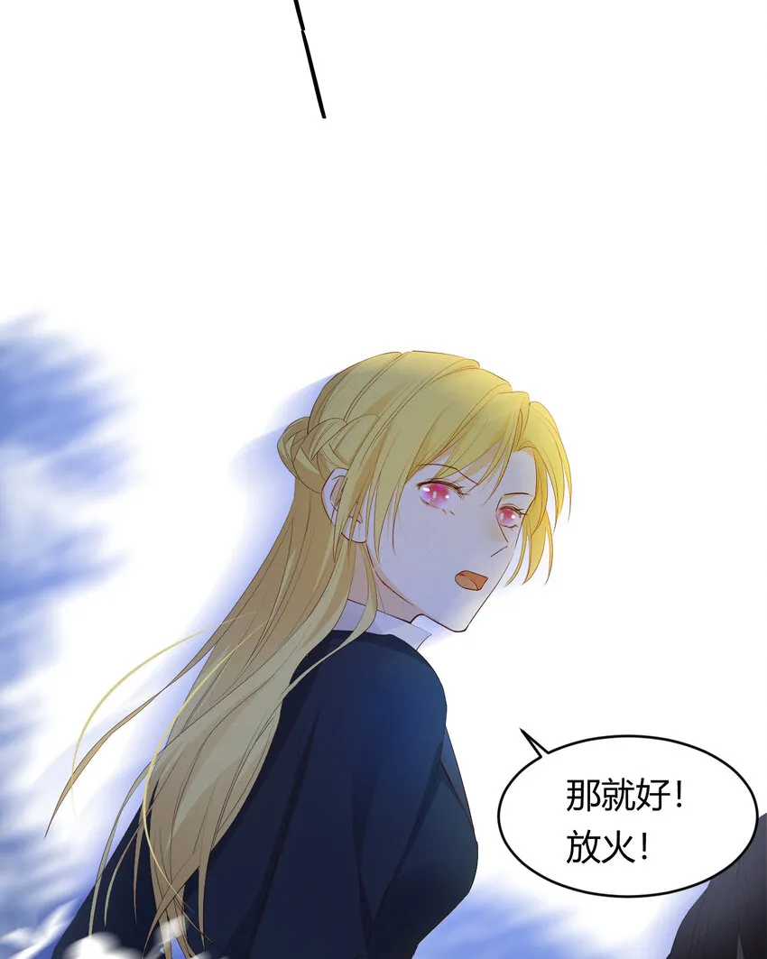 40 声东击西 第66页