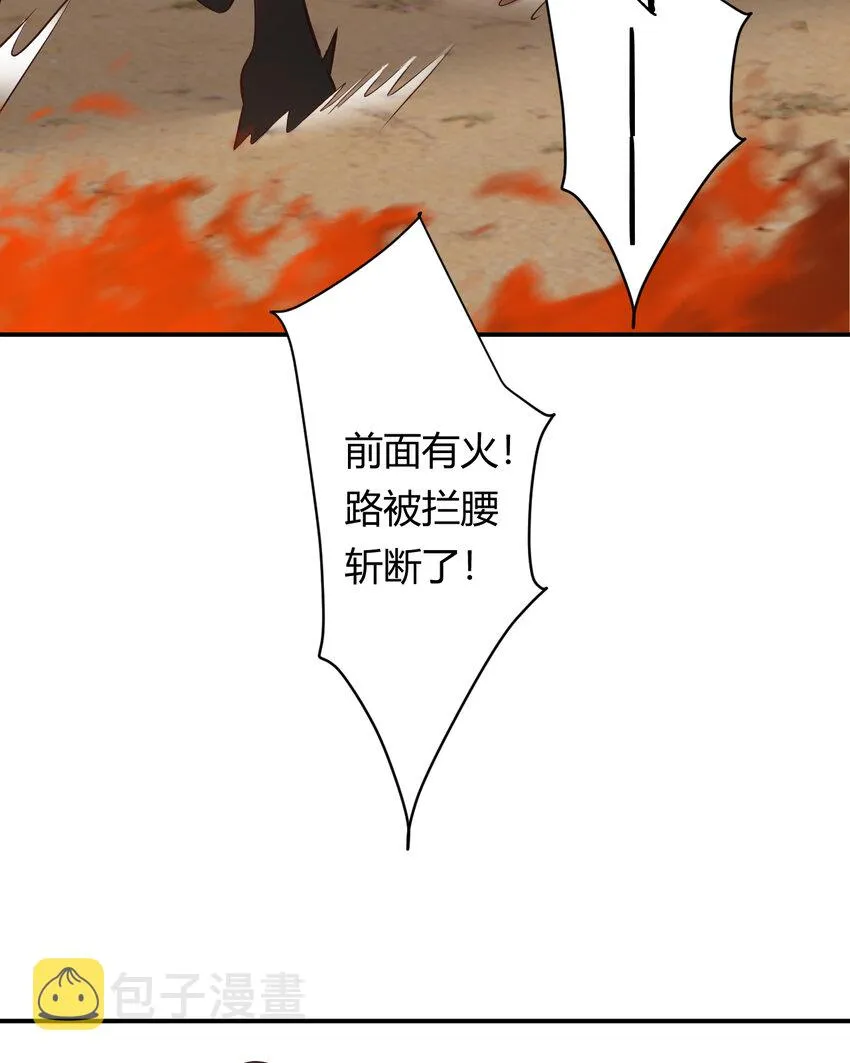 40 声东击西 第71页