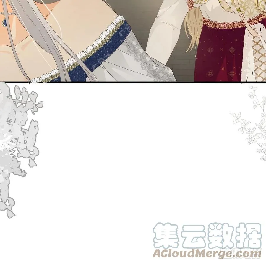 17 加冕 第46页