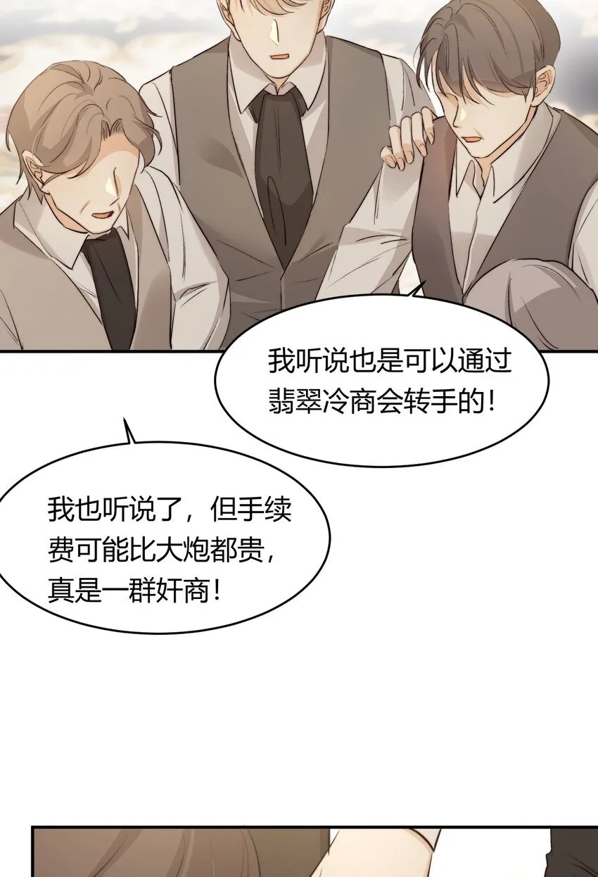 69 尚未盖章的军火协议 第7页