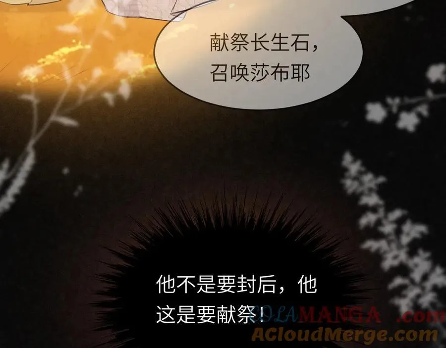 117 是封后还是献祭？ 第37页
