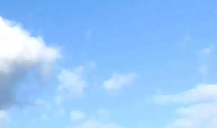 第5话 院长，你的衣服掉啦！ 第41页