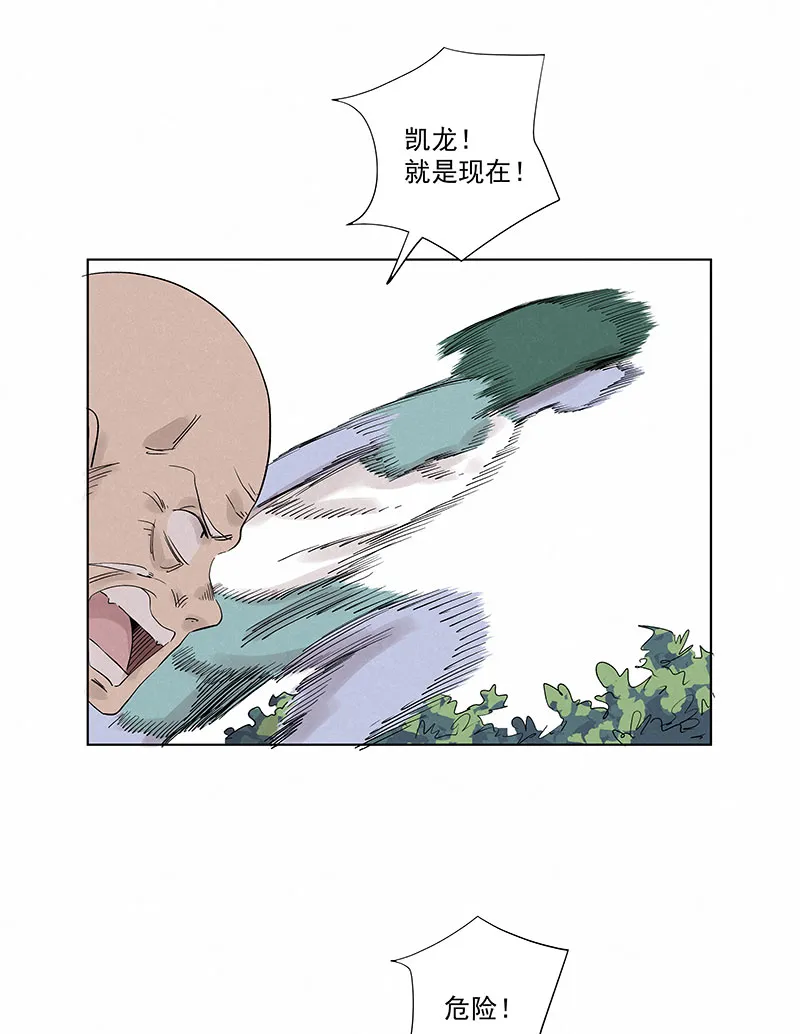 第三百二十六波 求偶 第28页