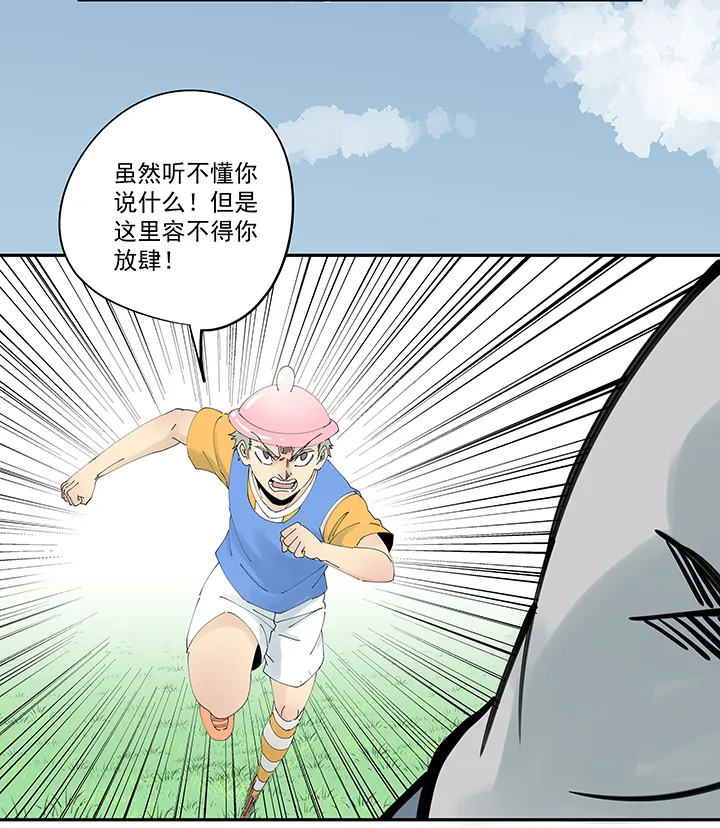 第二百零六波 归化球员 第19页