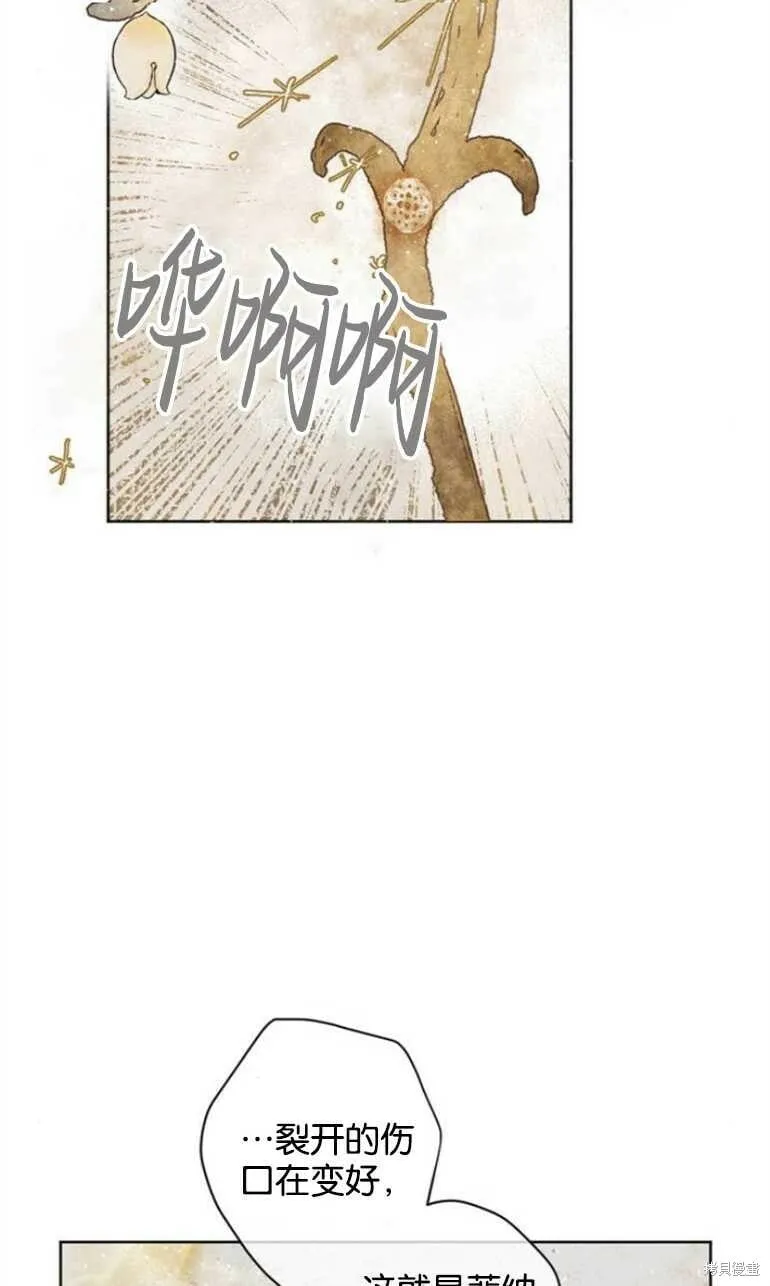 第09话 第62页