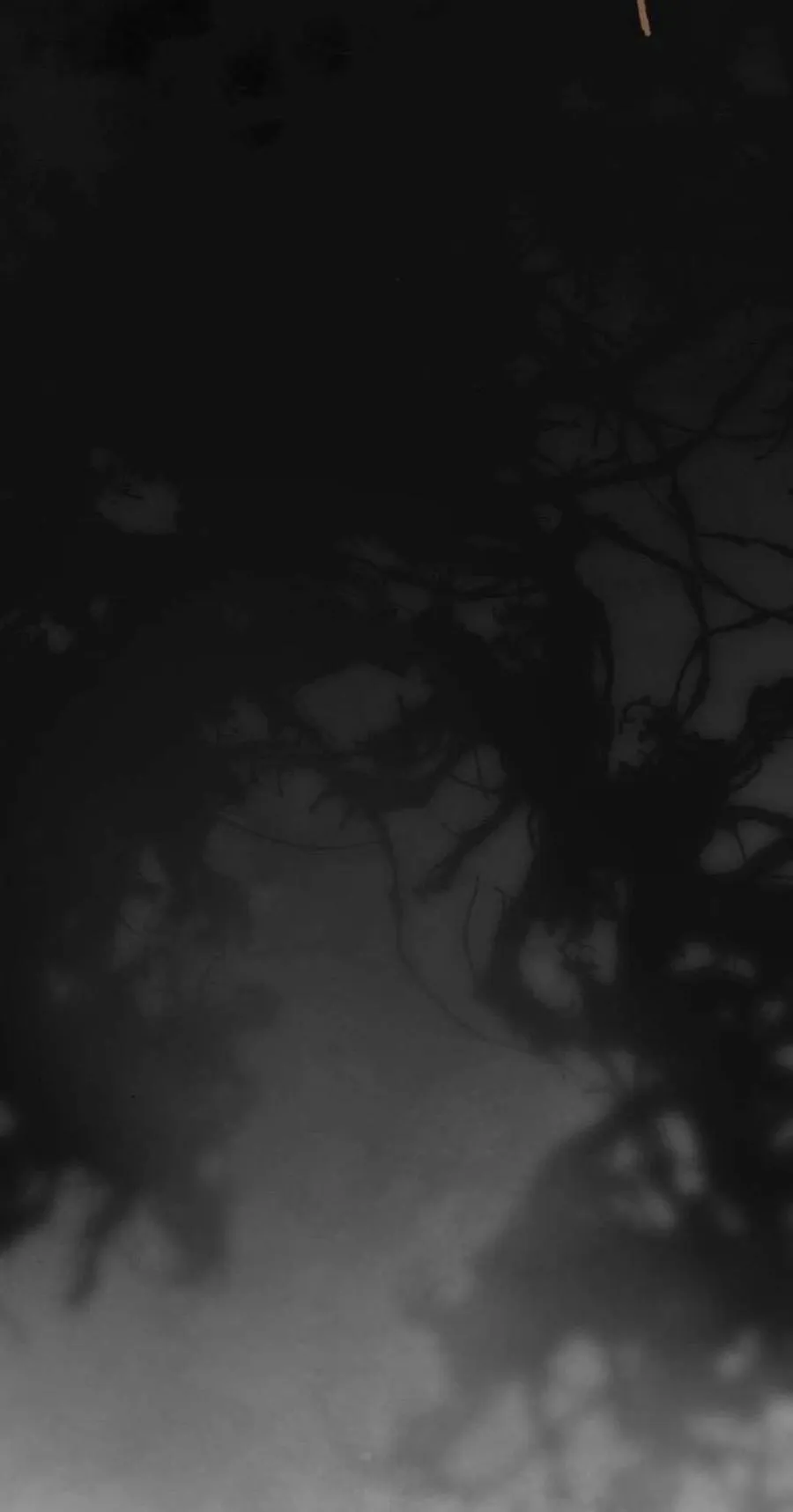 第78话 第53页