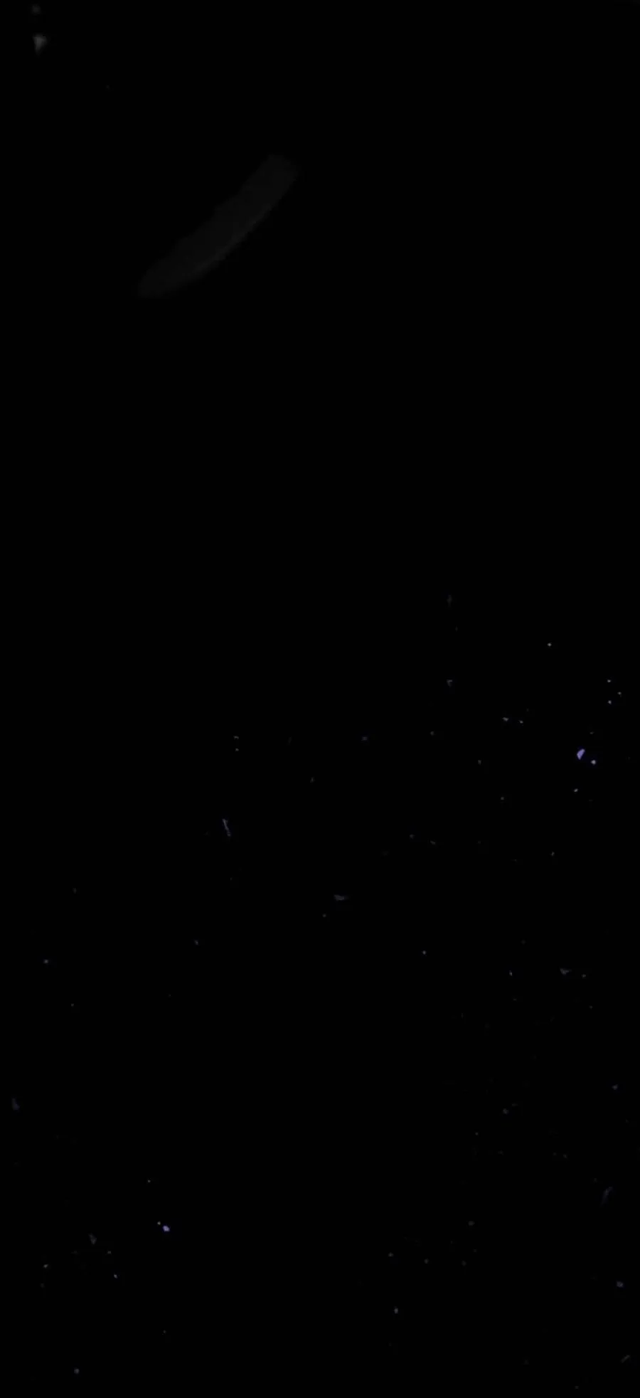第81话 第24页
