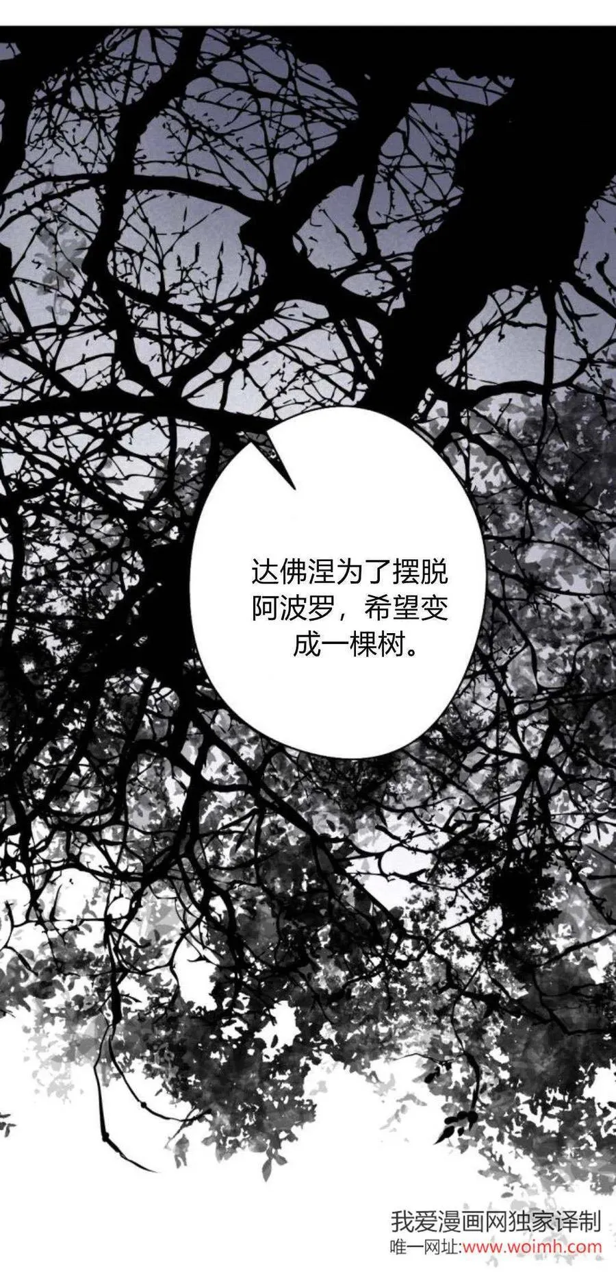 第93话 第28页