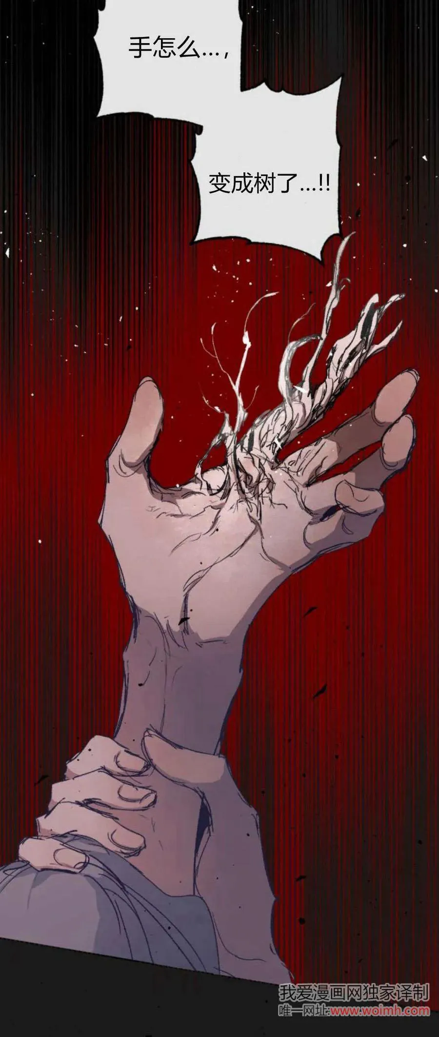 第100话 第50页