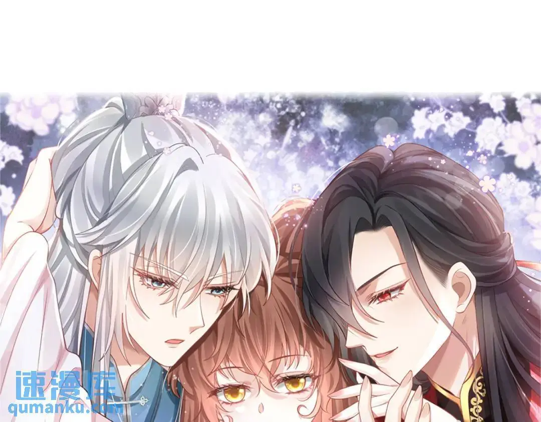 014 活要见人，死要见尸 第1页