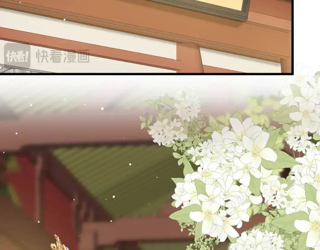 014 活要见人，死要见尸 第55页