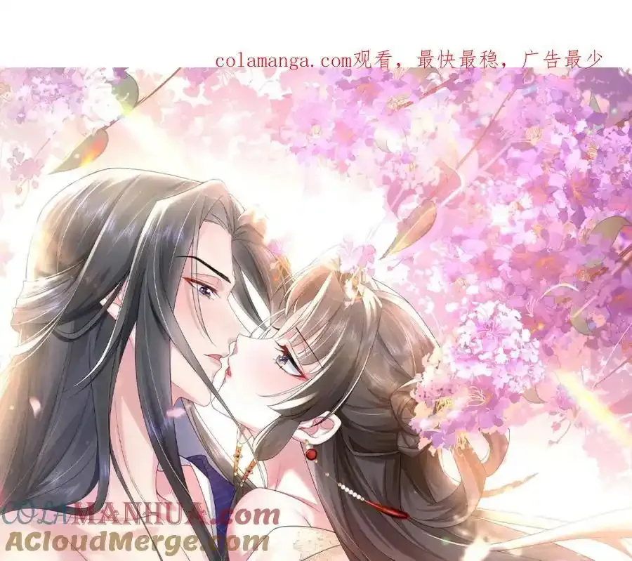第40话 和离后的打算 第1页