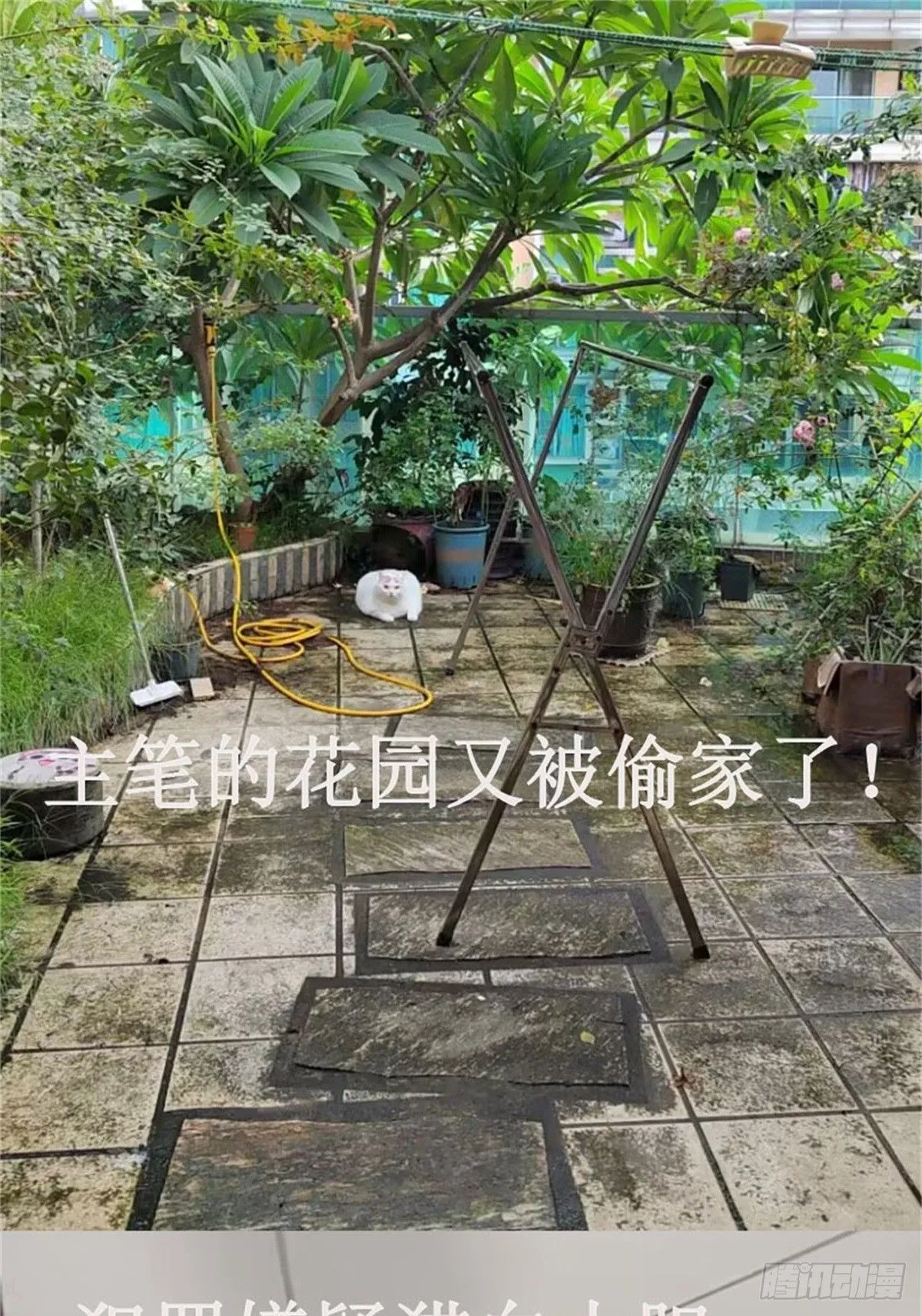 第27话让人羞涩的亲亲 第66页