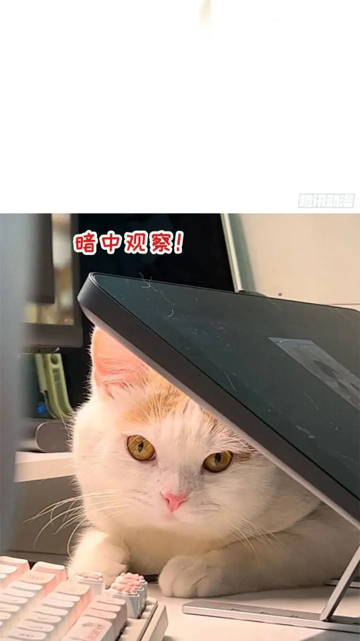 第28话故意逗他 第22页