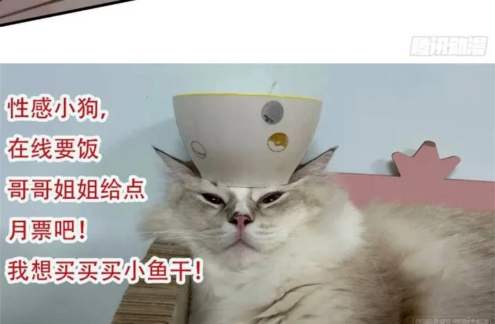 第29话吃醋啦！ 第50页