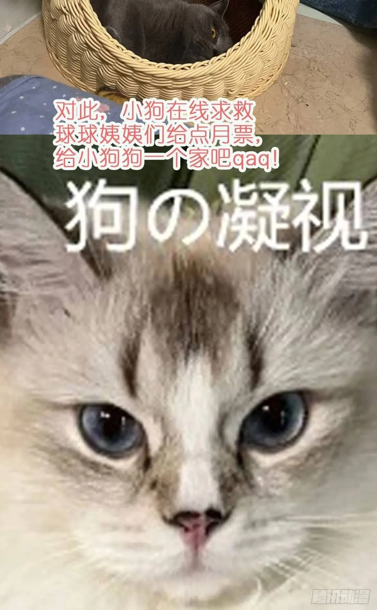 第41话有人作弊？ 第54页