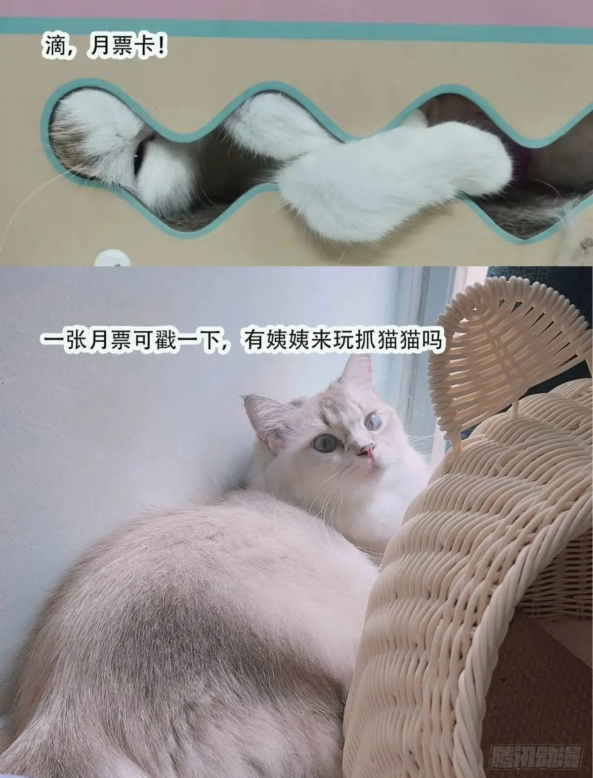 第47话暂时分别 第59页