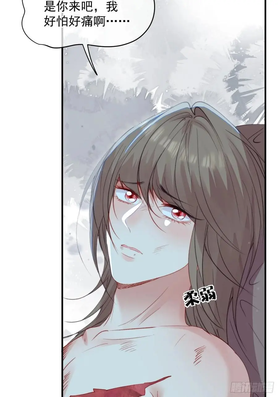 第54话又多了一个雄性 第12页