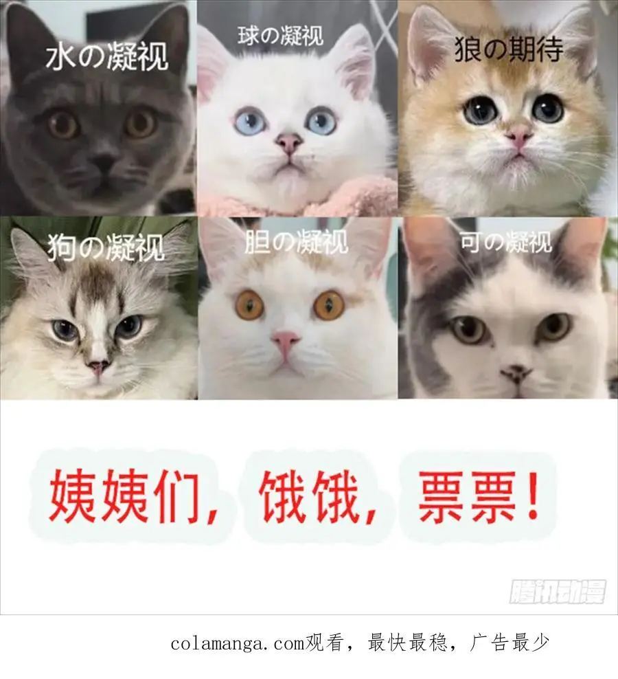 第54话又多了一个雄性 第47页