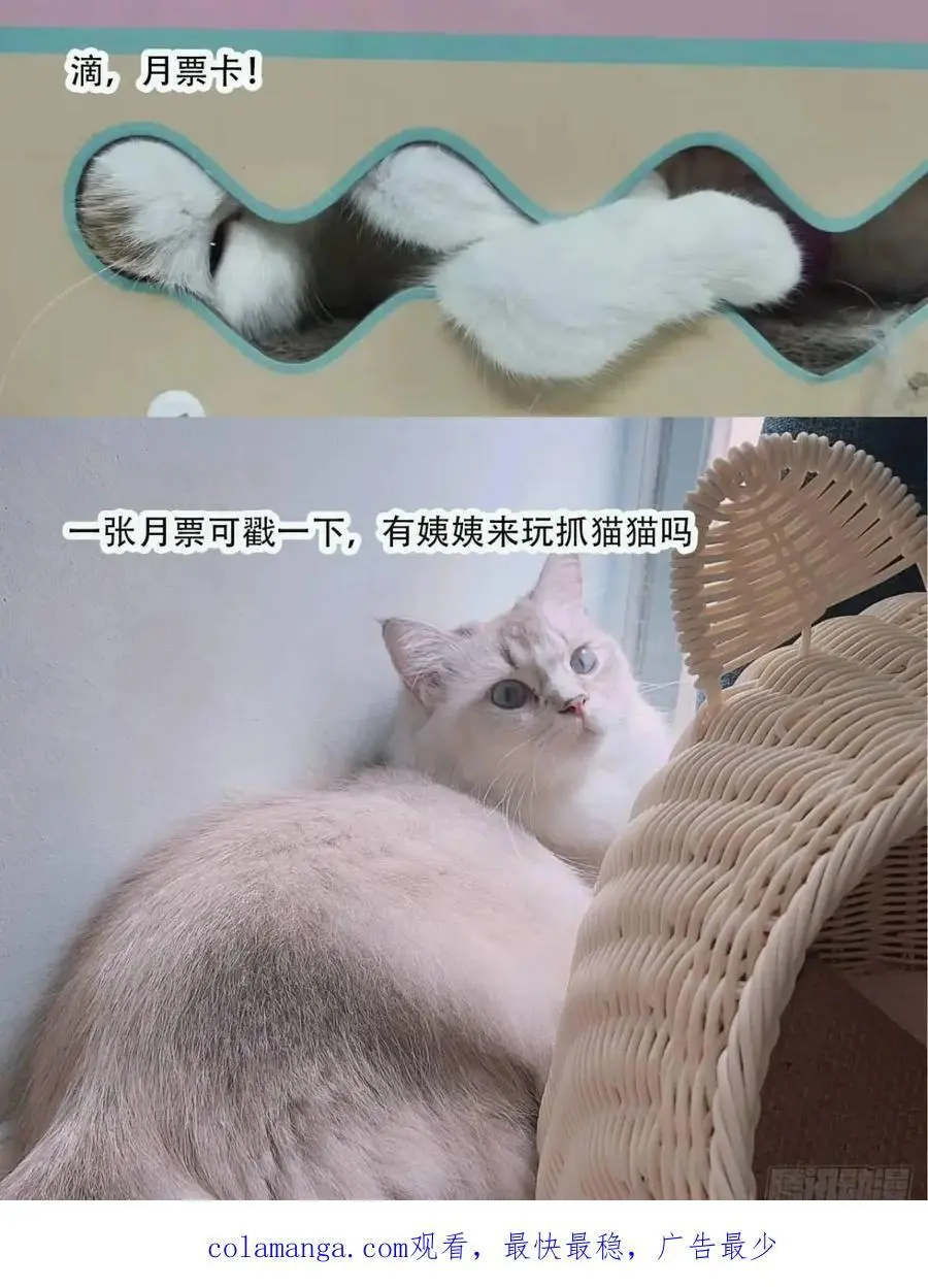 第56话老婆不见了 第40页