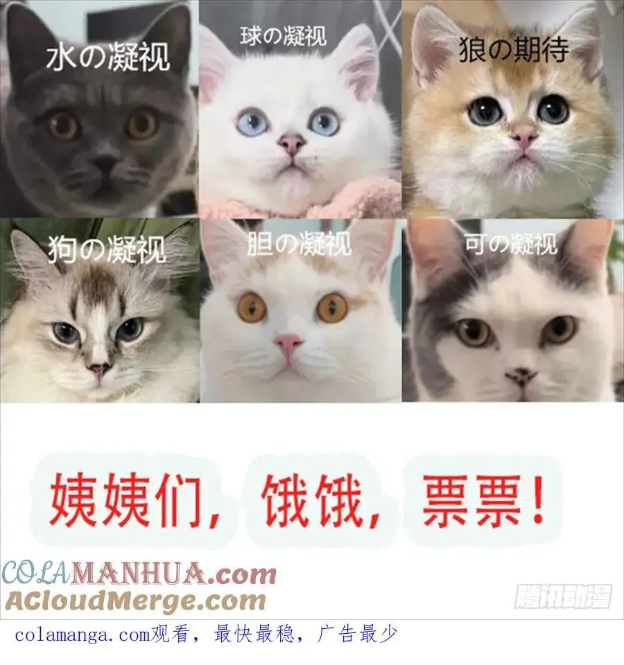 第57话后宫们又重逢了 第61页