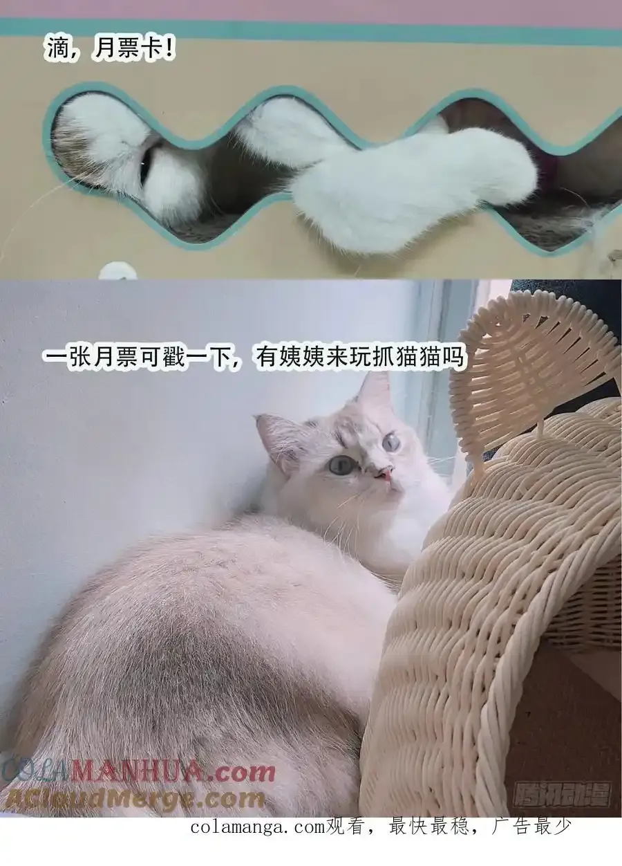 第58话大婚 第67页
