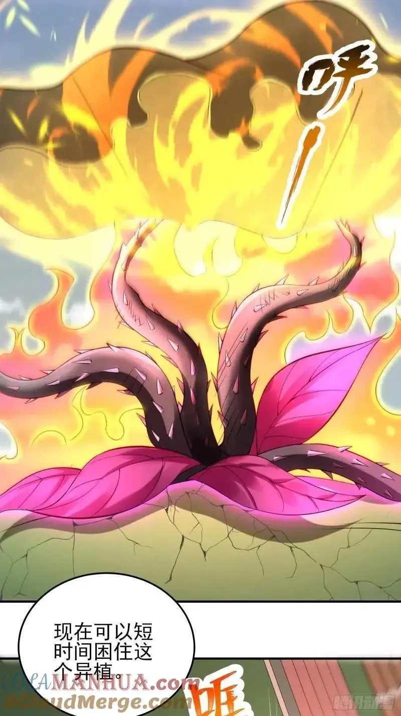 三十四话：转生物 第17页