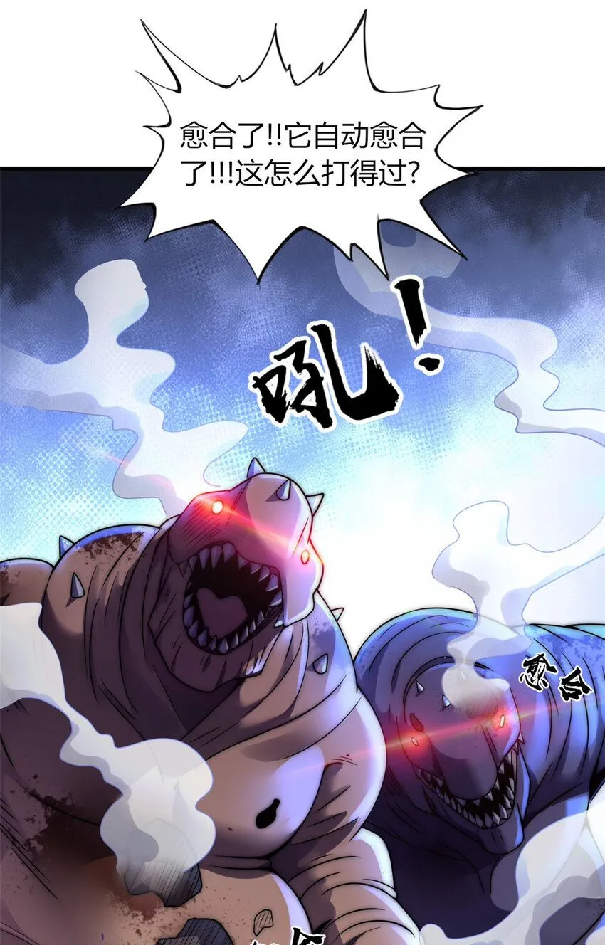 14 第55页
