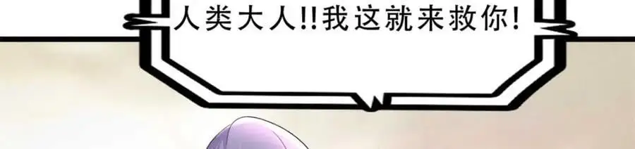 37 第12页