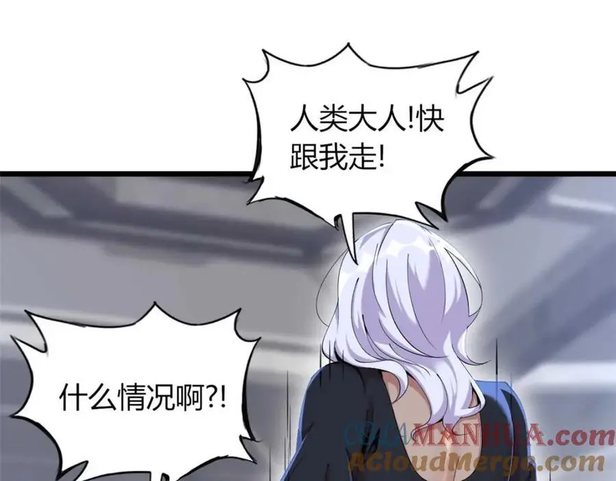 37 第113页