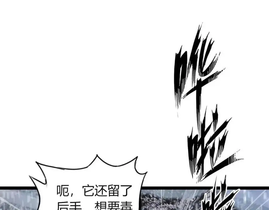 41 第15页