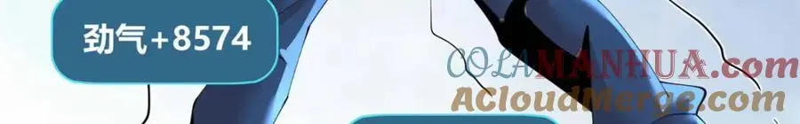 41 第117页