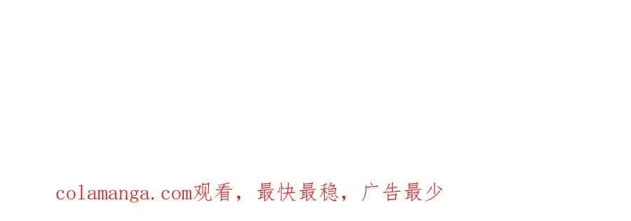 41 第135页