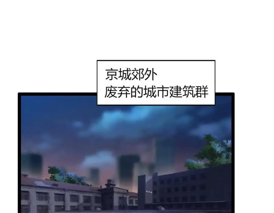 43 第4页