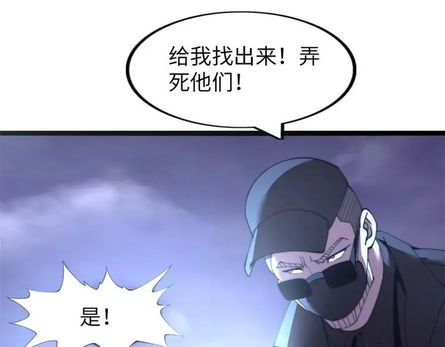 43 第43页