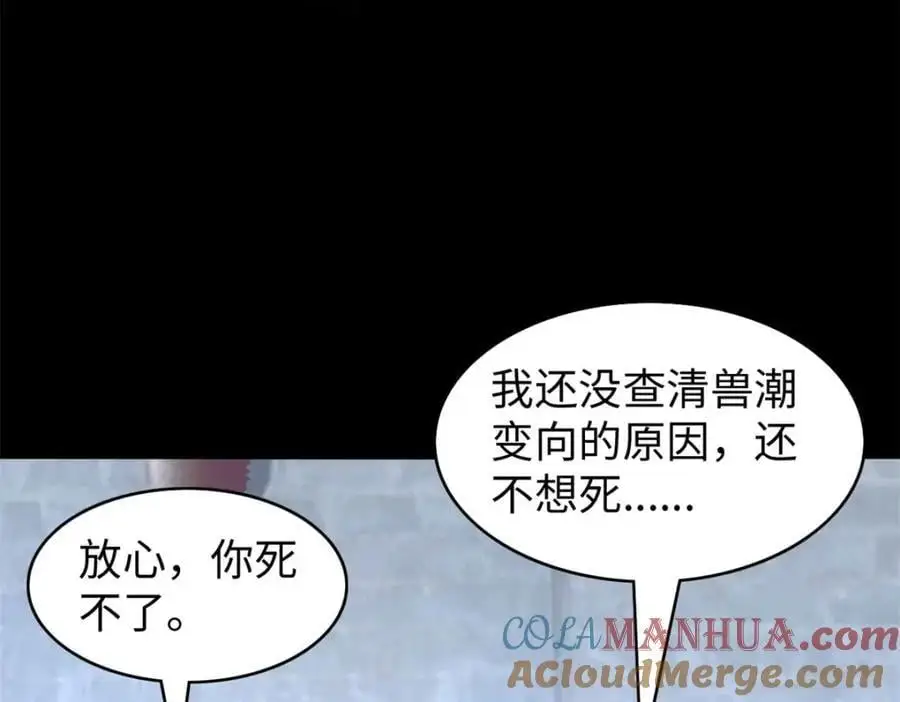 43 第65页