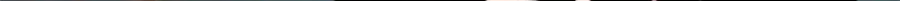 46 第117页