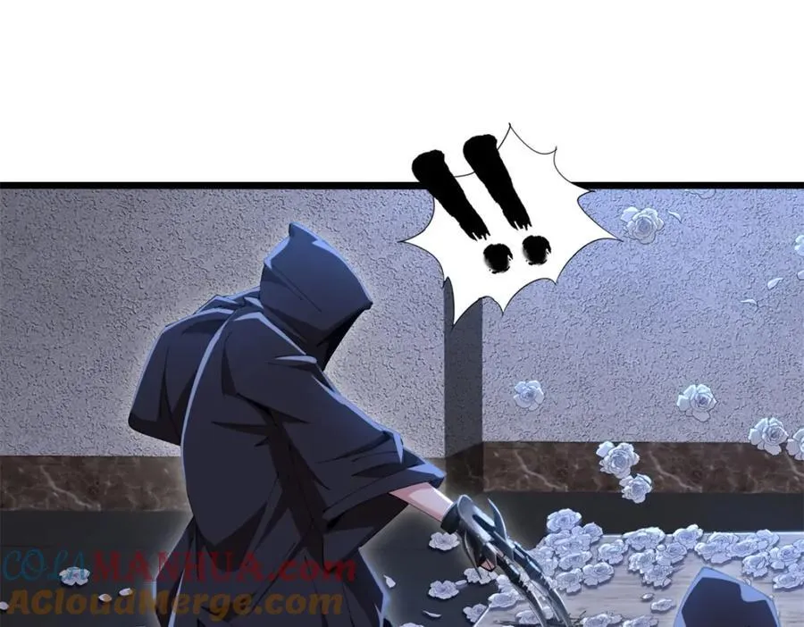 50 第41页