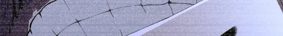 50 第114页
