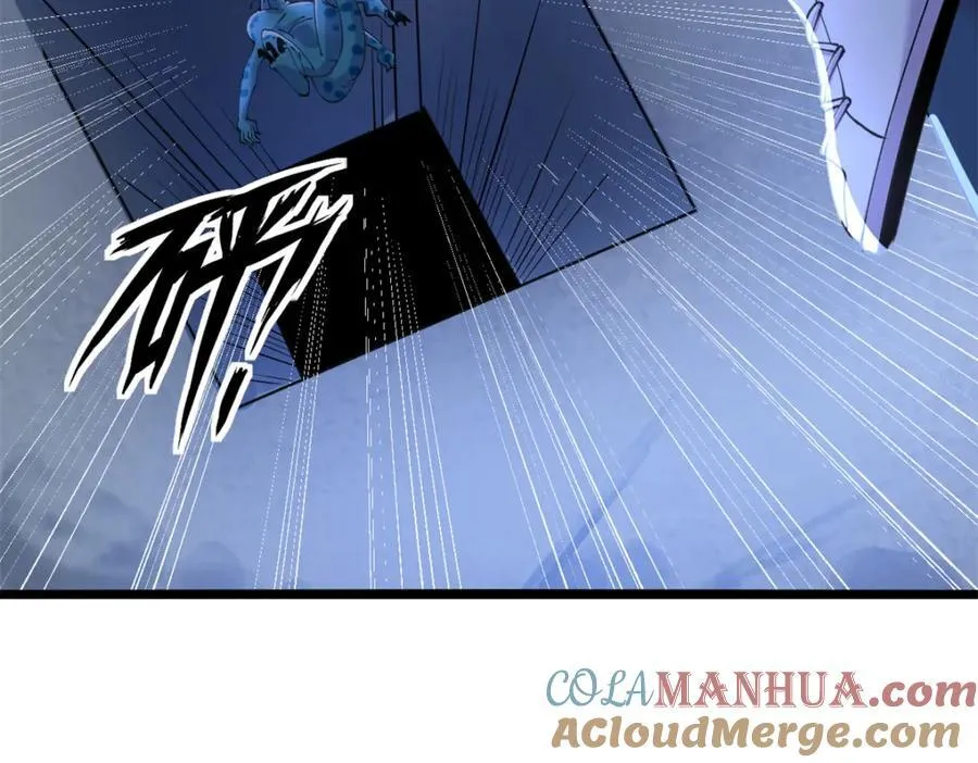 51 第17页